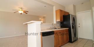 Exceptional! Gallery 8