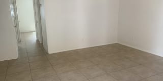 Palm Garden Gallery 26