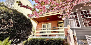 331 LYCEUM Avenue Gallery 2