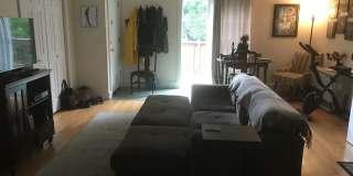 51 Maple Street Gallery 3