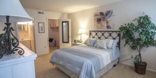 Hunt Club Apartments Gallery 6