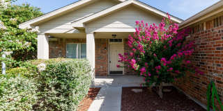 3026 Sun Dance Drive Gallery 1