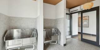 Ascend at Woodlands Gallery 118