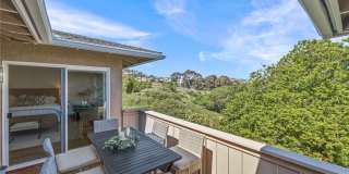 3519 Paseo Flamenco Gallery 26