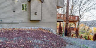 Beautiful Lower-Level Home in Bellevue Gallery 1