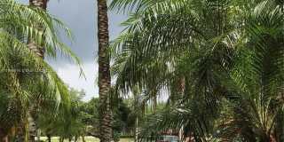 12430 Vista Isles Dr Gallery 33