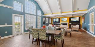 Austin Springs Gallery 23