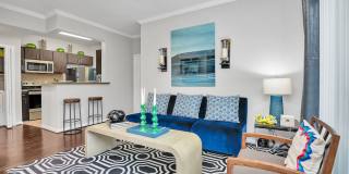 Fuse at Park Row Gallery 26