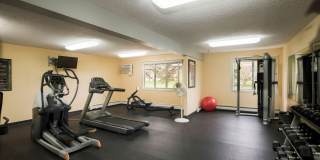 North Village Gallery 10