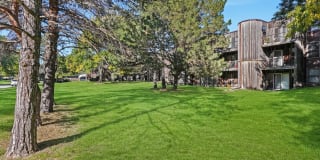 Lynwood Pointe Apartments Gallery 9