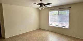 Available Now! Gallery 8