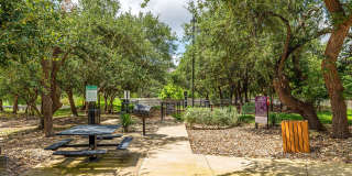 Lantana Hills Gallery 20