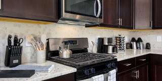 41885 W Celebration Lane Gallery 13