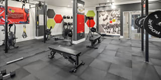 Celsius Apartment Homes Celsius Apartment Homes Gallery 34