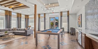 Magnolia at West Lemmon Gallery 43