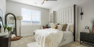 Prose at Parkvale Gallery 23