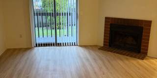 Puyallup 8 Gallery 1