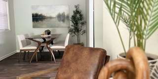 Summerfield Place Gallery 5