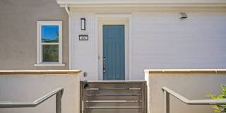 430 Lobata Gallery 2