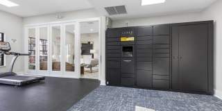 Alvista Hollywood Gallery 28