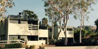 31215 Pacific Coast Hwy Gallery 1