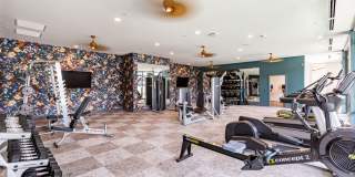 MAA Val Vista Gallery 21