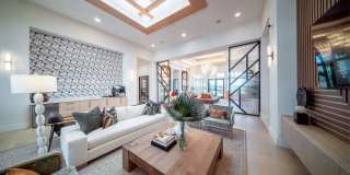 Alta Citron Gallery 17