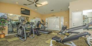 Avery at TownCentre Gallery 14