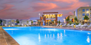 Solasta Solasta Gallery 9