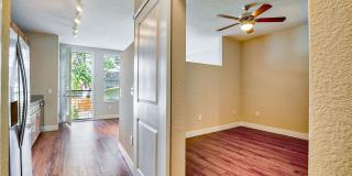 Element 47 by Windsor Gallery 19