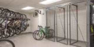 Red Oak at 875 Elm Street Gallery 14