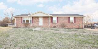 Pet Friendly Three Bedroom with Basement! Pet Friendly Three Bedroom with Basement! Gallery 1