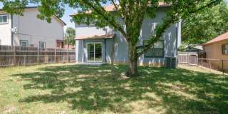 12811 HUNTING BEAR Gallery 28