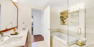 Windsor Cirrus Gallery 22
