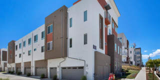 2986 Lina ST 7 Gallery 15