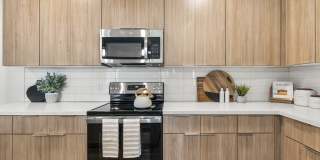 The Aster at Mountain Vista - BRAND NEW Gallery 4