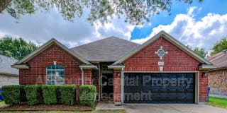 509 Dusty Leather Court Gallery 1