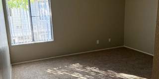 Tracy Park Apartments Gallery 30