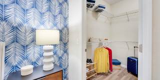 Citra at Windermere Gallery 42