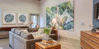 Harlow Spring Cypress Gallery 3