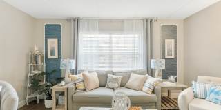 Sea Oats Sea Oats Gallery 93