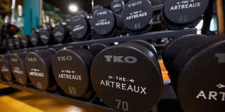 The Artreaux Apartments and Townhomes Gallery 57