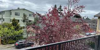 Bright & Spacious Top-Floor Condo in Greenwood! Gallery 17