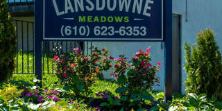 Lansdowne Meadows Lansdowne Meadows Gallery 4