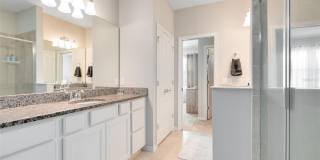 586 PIAZZA Point Gallery 11