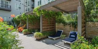 Korina and Alder at The Grove Korina and Alder at The Grove Gallery 24