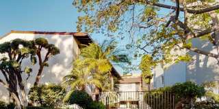 Modern Loft-Style Condo with Floor to Ceiling Windows  in Vibrant Culver City Gallery 13