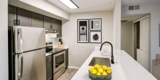 The Vue at Spring Creek Gallery 5