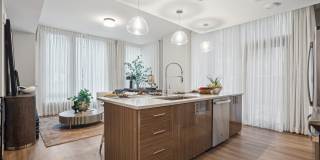 Josephine Gallery 46