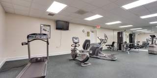 5575 SEMINARY Road Gallery 17